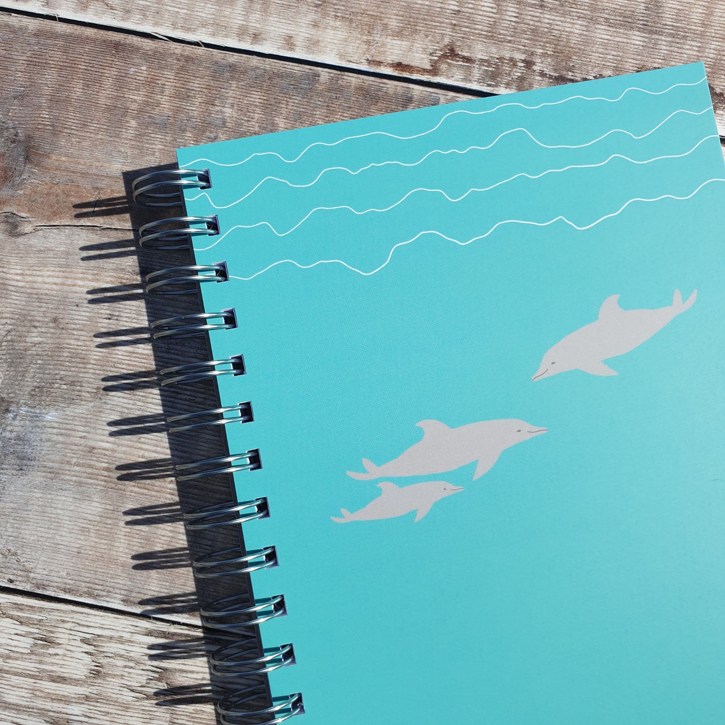 Dolphin Notebooks