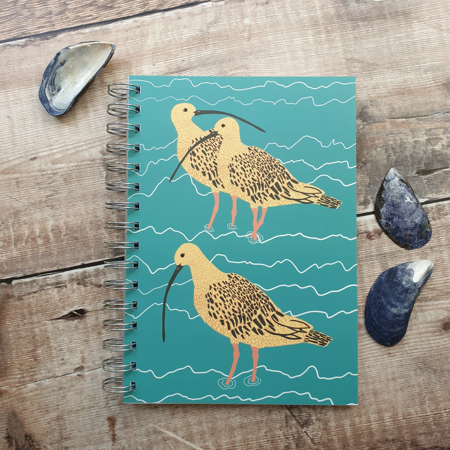 Curlew Family Notebooks