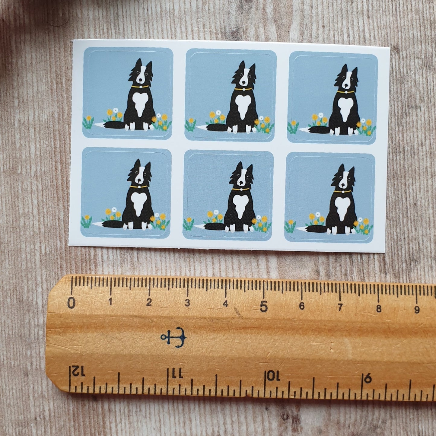 Border Collie Envelope Stickers - Set of 6