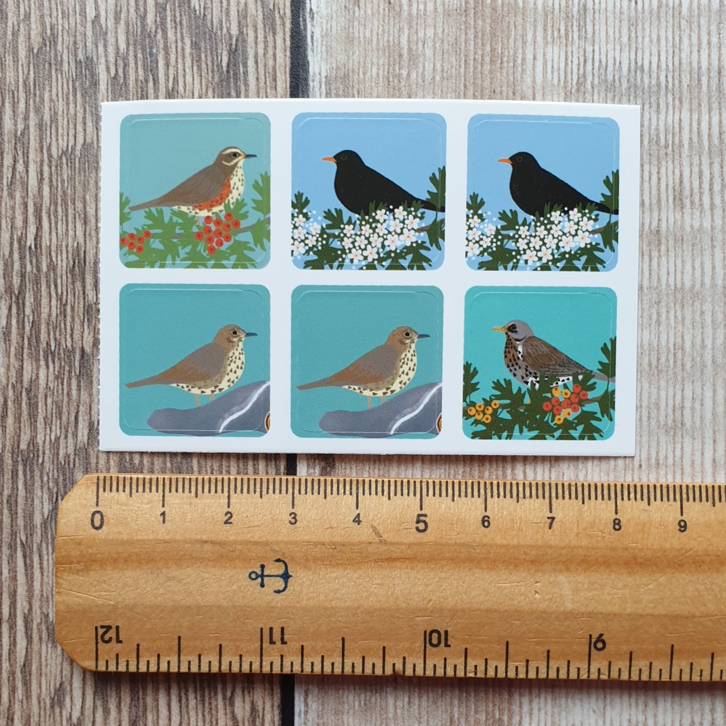 Thrushes Envelope Stickers - Set of 6