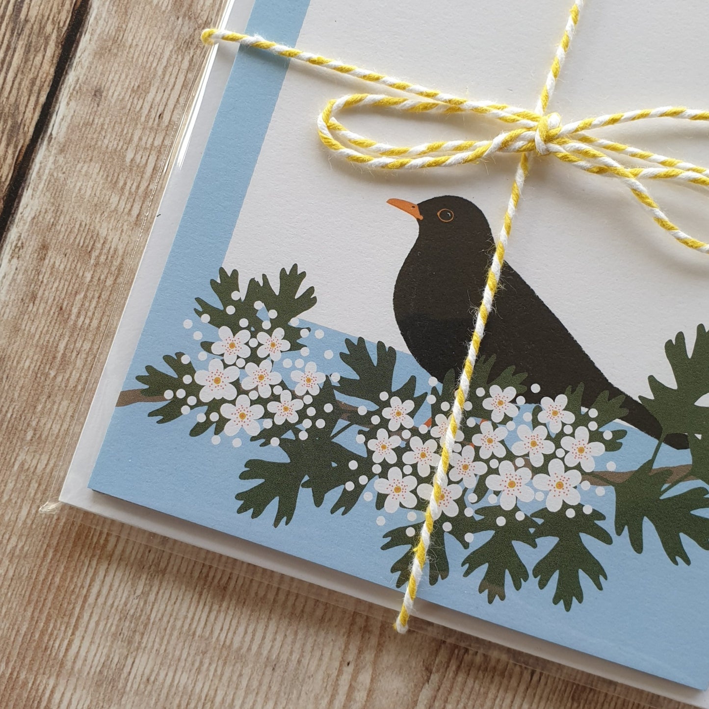 Blackbird and Blossom Mini Note Writing Set