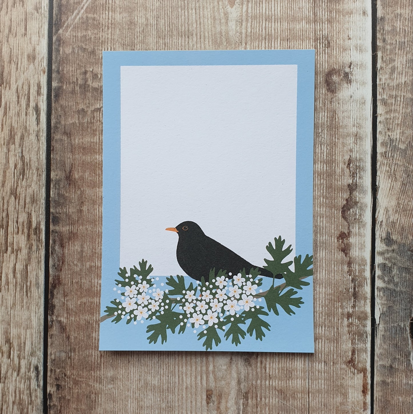 Thrushes Gift Notes - Set of 4