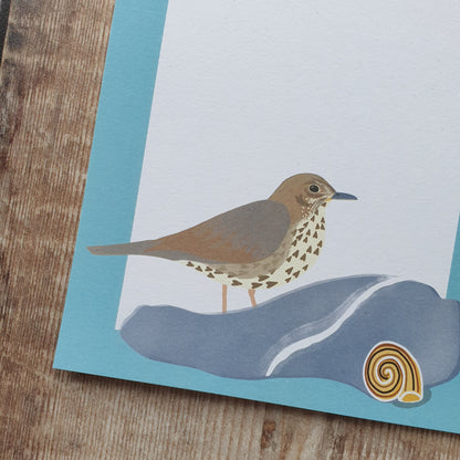 Thrushes Gift Notes - Set of 4