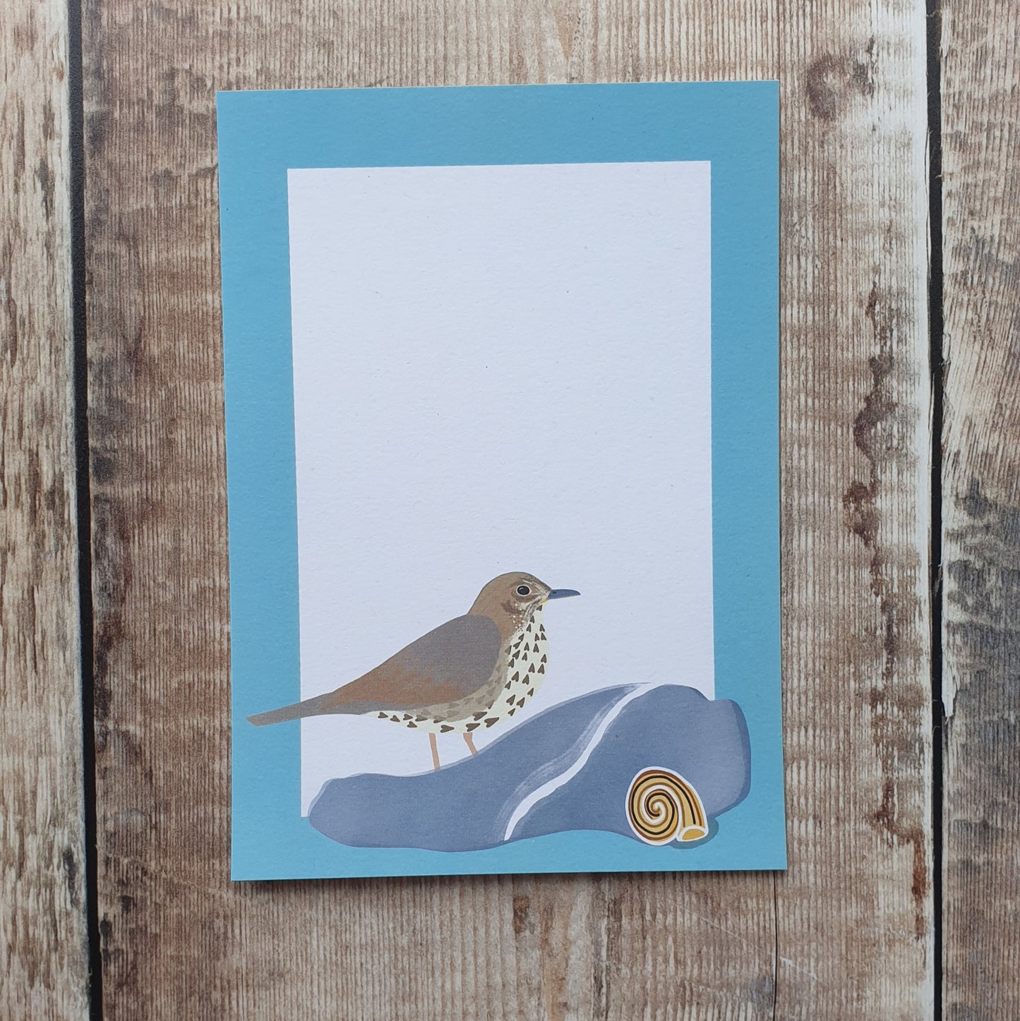 Thrushes Gift Notes - Set of 4