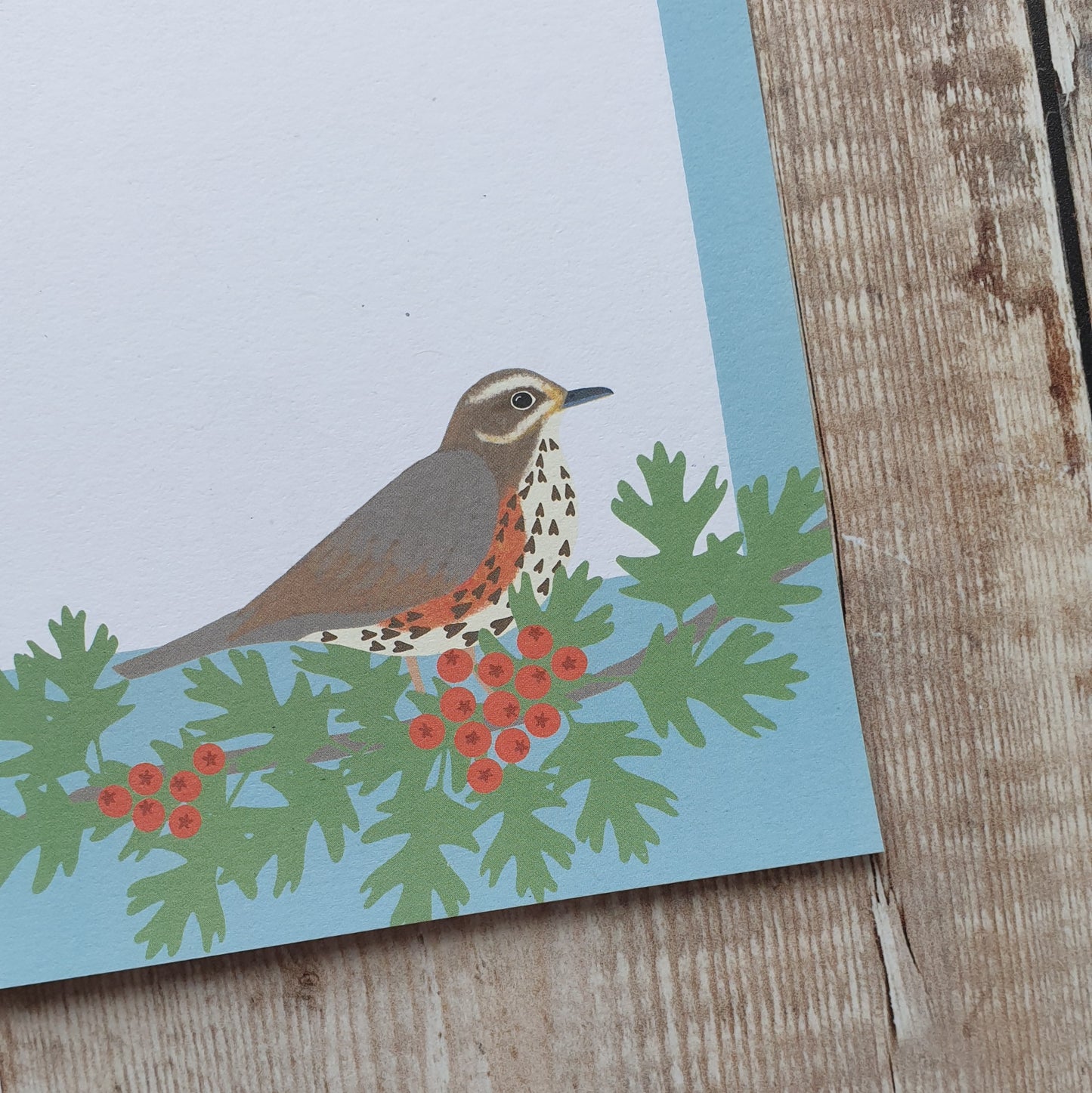 Thrushes Gift Notes - Set of 4