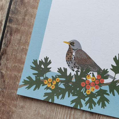 Thrushes Gift Notes - Set of 4