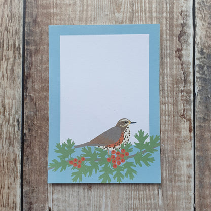 Thrushes Gift Notes - Set of 4