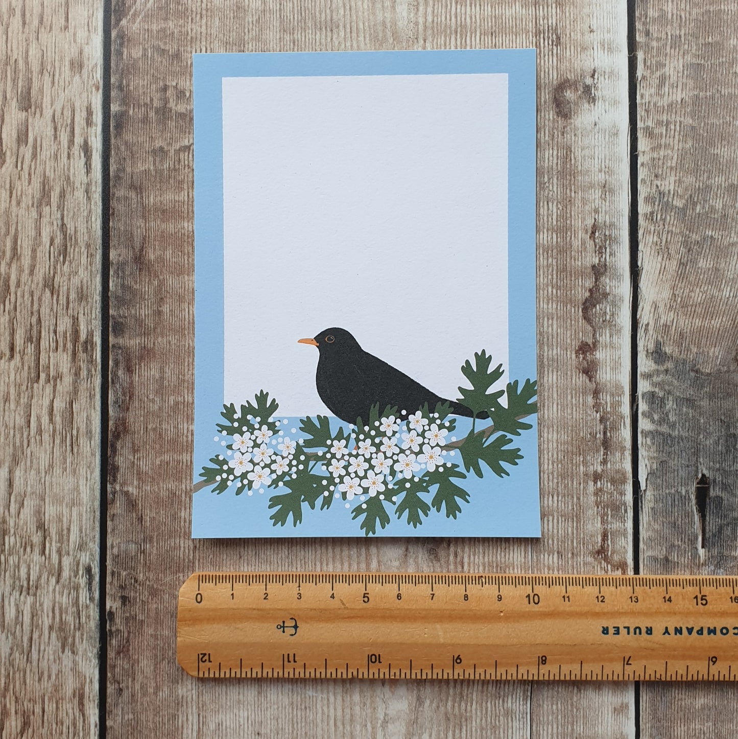 Thrushes Gift Notes - Set of 4