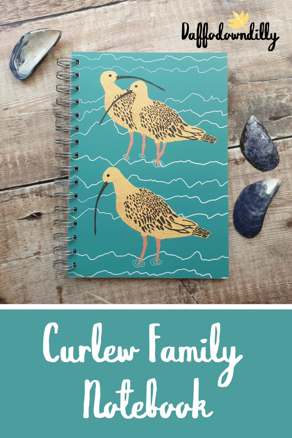 Curlew Family Notebooks