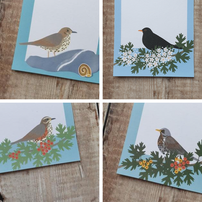 Thrushes Gift Notes - Set of 4