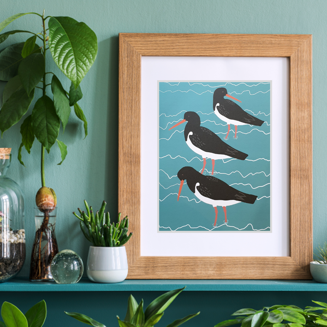 Oystercatchers Art Print